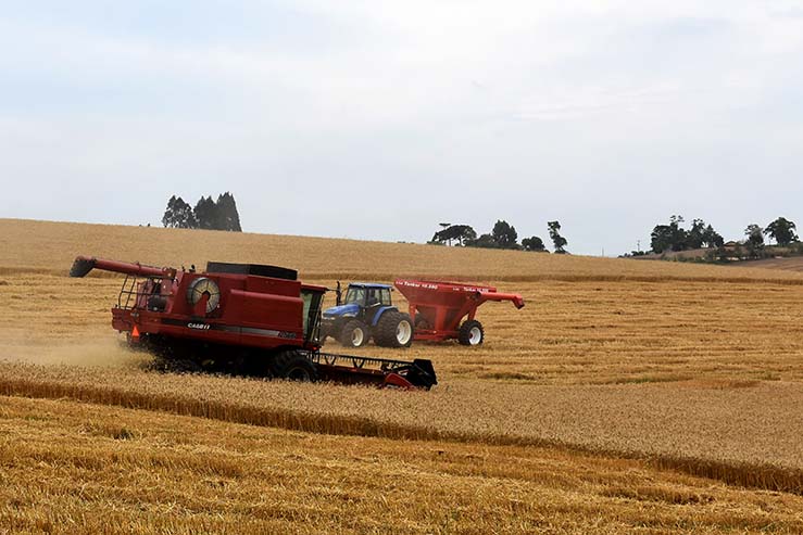 Os dados divulgados demonstram que os agricultores familiares foram responsáveis por contratarem R$ 15,32 bilhões através do Programa Nacional de Fortalecimento da Agricultura Familiar (PRONAF) e os médios produtores fizeram a contratação de R$ 12,78 bilh