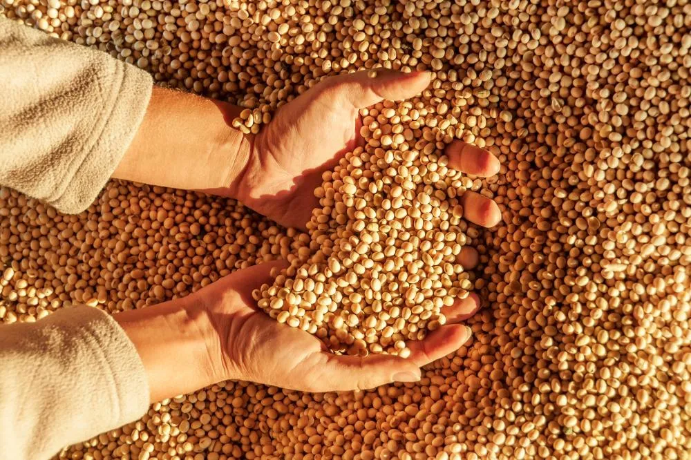 Foto Bruna Caetano-CropLife Brasil 