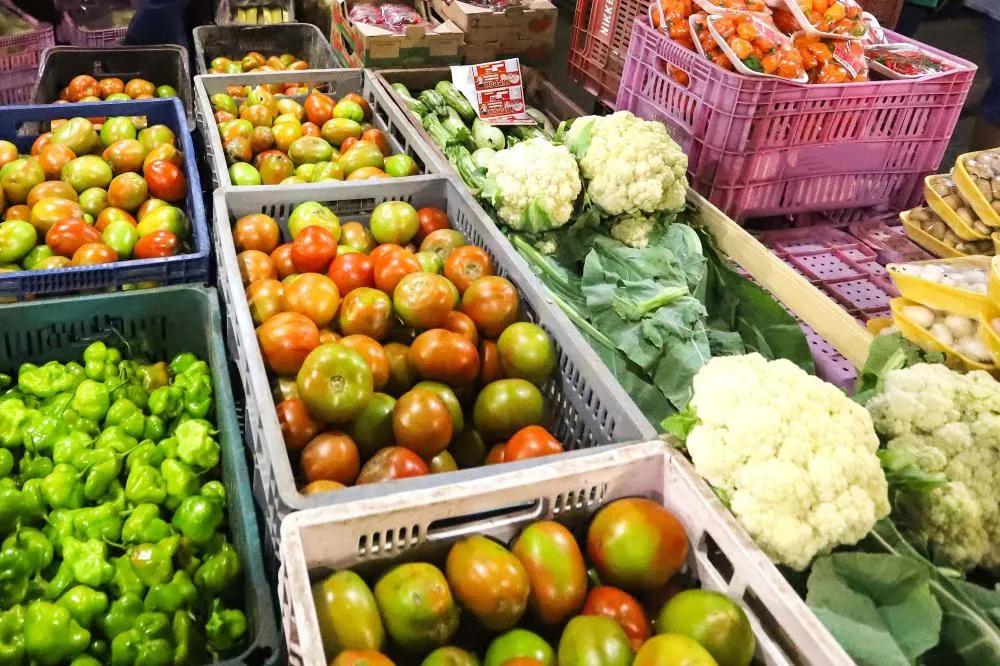 Está prevista a contratação recorde de 185 organizações da agricultura familiar para distribuição de 63 itens às entidades com atendimento a pessoas vulneráveis de todos os municípios.