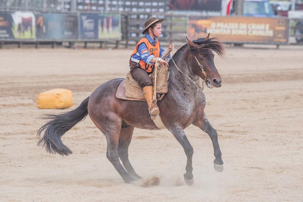 Final do ciclo do Freio Jovem, promovido pela Associação Brasileira de Criadores de Cavalos Crioulos (ABCCC). De 23 a 25 de novembro. Foto Divulgação