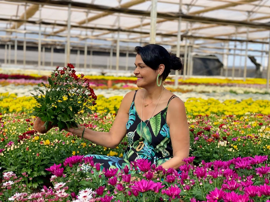 O livro, que recebeu o sugestivo nome “Verdes & Floridas – aprenda de uma vez por todas a cuidar das suas plantas”, será lançado na última semana de novembro. Fotos Marcos V. F. Pinto.