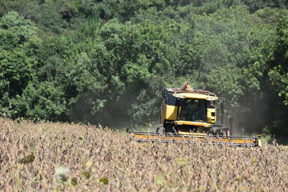 Diante disso, considerando-se também o desempenho da economia brasileira como um todo, o PIB do agronegócio correspondeu por 23,2% do PIB do Brasil em 2024, ligeiramente abaixo dos 23,5% registrados em 2023. Foto Toninho Anhaia