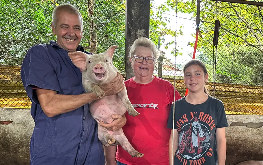 Castrolanda traça planos para aumentar a atuação da suinocultura