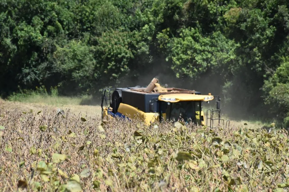 Estimativa para produção de soja em 2025 é de 164,3 milhões de toneladas, um recorde para a leguminosa. Foto Toninho Anhaia