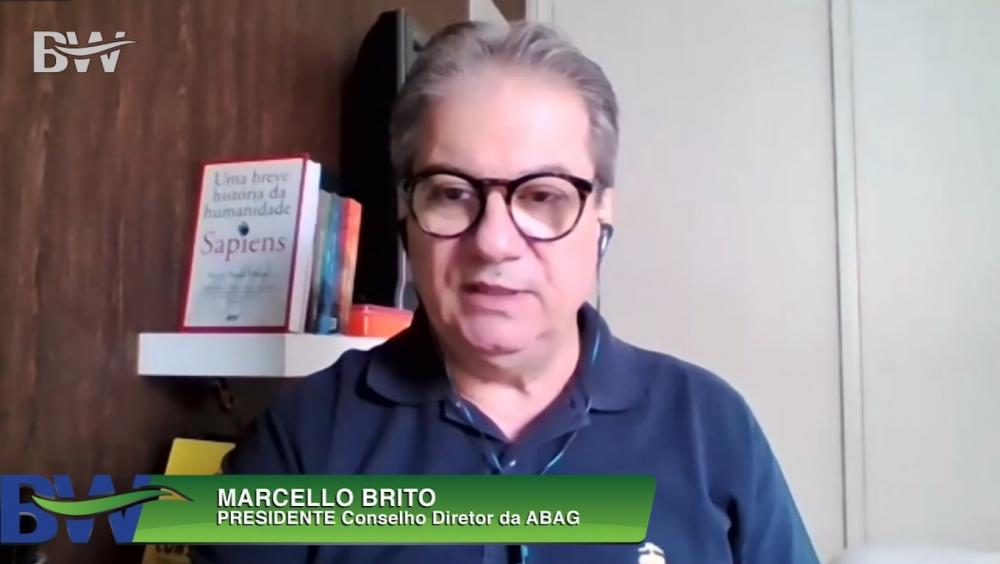 Marcello Brito, da Abag, tratou do tema O Agro Frente à Imagem Brasil no Exterior na BW Expo, Summit e Digital 2020 Crédito foto: Divulgação