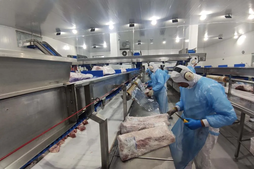 Supermercado do mundo: Paraná exporta mais alimentos que países como Japão, Portugal e Coreia do Sul Foto: Arquivo AEN