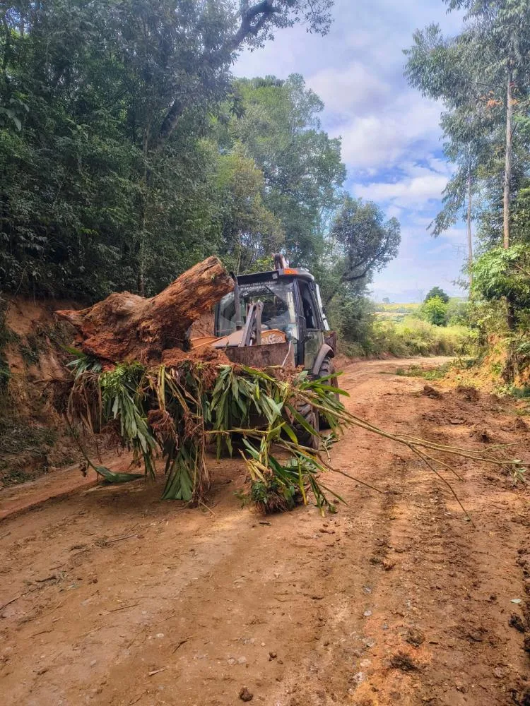 Levantamento considera o trabalho realizado só nos primeiros meses de 2025. Foto Divulgação