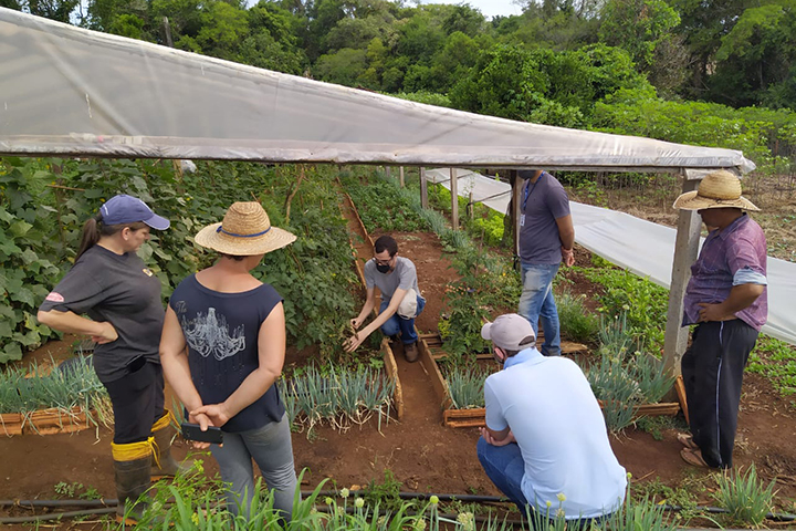 Segundo o coordenador estadual do projeto Agroecologia do IDR-Paraná, agrônomo André Luis Alves Miguel, a iniciativa do Instituto surge como resposta a uma demanda da sociedade, que cobra uma oferta maior de alimentos produzidos no sistema orgânico