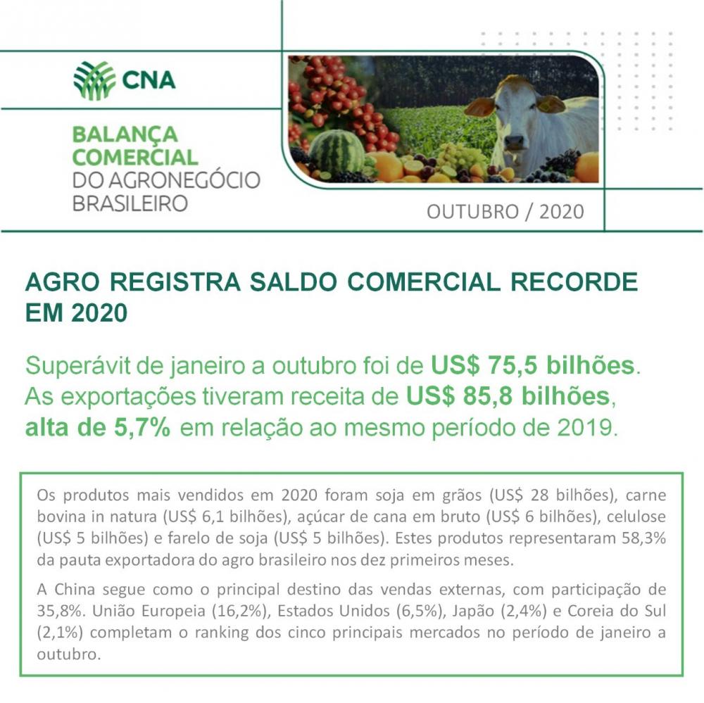 Os produtos mais vendidos em 2020 foram soja em grãos (US$ 28 bilhões), carne bovina in natura (US$ 6,1 bilhões), açúcar de cana em bruto (US$ 6 bilhões), celulose (US$ 5 bilhões) e farelo de soja (US$ 5 bilhões)