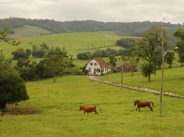 Ao completar 29 anos, a Epagri se orgulha de cumprir com excelência sua missão de gerar conhecimento, tecnologia e extensão para o desenvolvimento sustentável do meio rural, em benefício da sociedade.