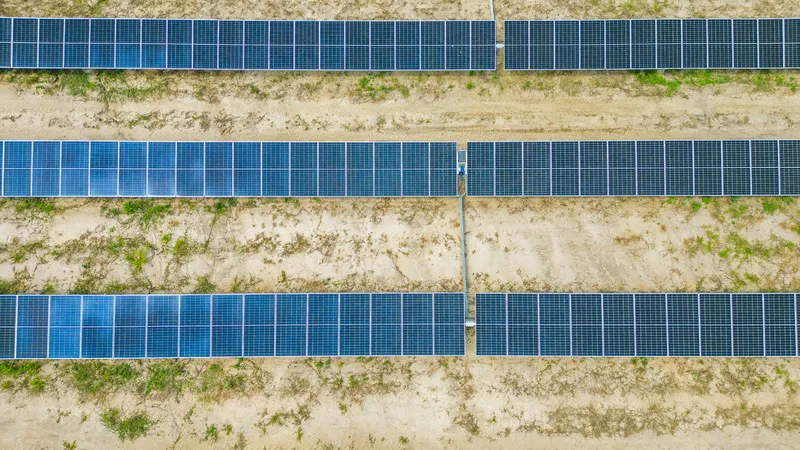 Parceria entre BYD e JV Gera + Raízen instala novas usinas solares no Brasil e evita emissão de 74 mil toneladas de CO₂Crédito: Divulgação BYD Brasil