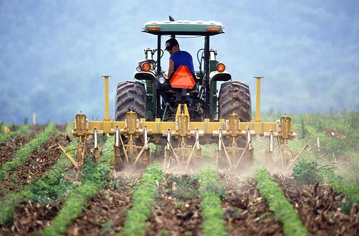 Até 20 de março de 2021, a plataforma vai ter uma fase piloto em que somente alguns agentes autorizados poderão fazer o registro de tratores novos.