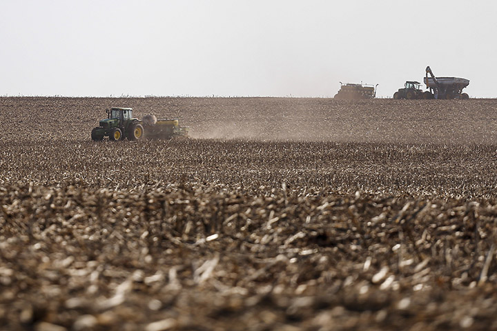 Em relação à soja, o documento relata que já foram semeados aproximadamente 5,11 milhões de hectares, o que corresponde a 92% da área estimada.