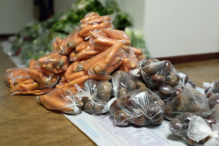 Em 2020, cerca de 25 mil famílias de pequenos agricultores foram beneficiadas com a contratação pela chamada pública.
