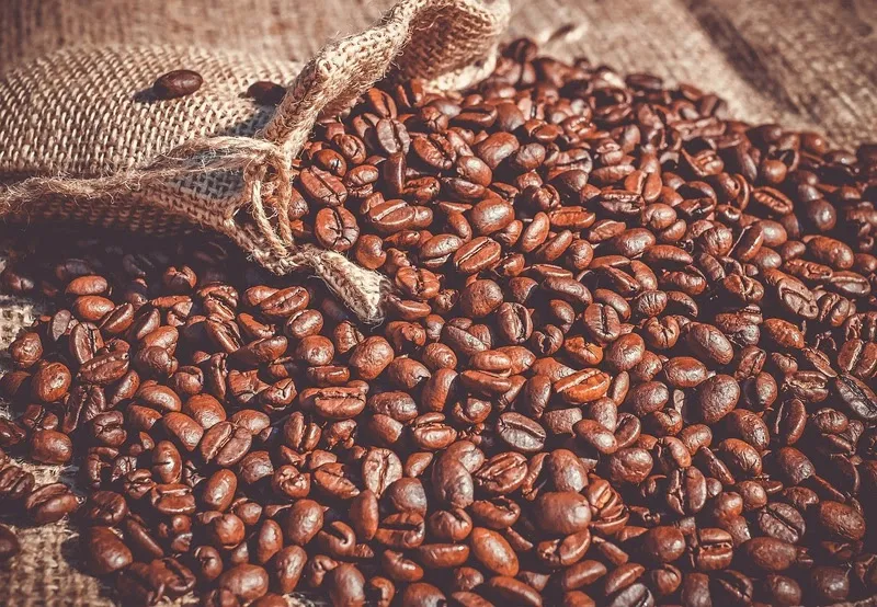 Adoção da prática nas culturas de café e cana-de-açúcar se tornou diferencial nas tomadas de decisão das vencedoras do Prêmio Mulheres do Agro