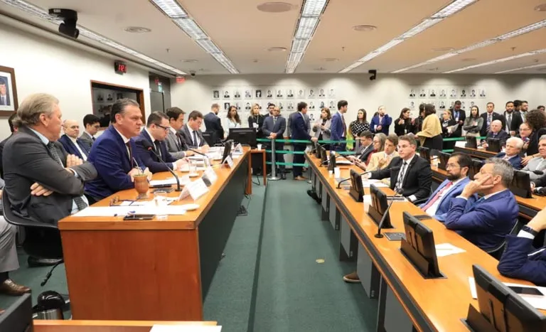 Na CAPADR, Fávaro destaca as ações para apoiar produtores e garantir a estabilidade dos preços. Foto Mapa