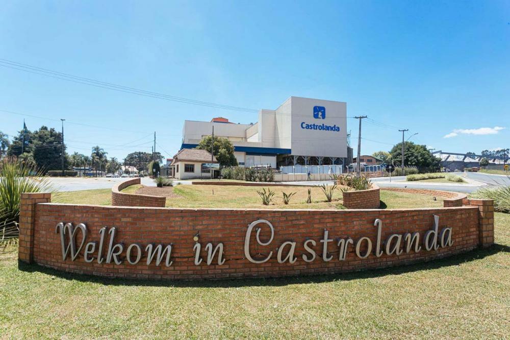 A Castrolanda garantiu o 7º lugar entre as maiores empresas paranaenses do agronegócioo, segundo o Prêmio Valor 1000.