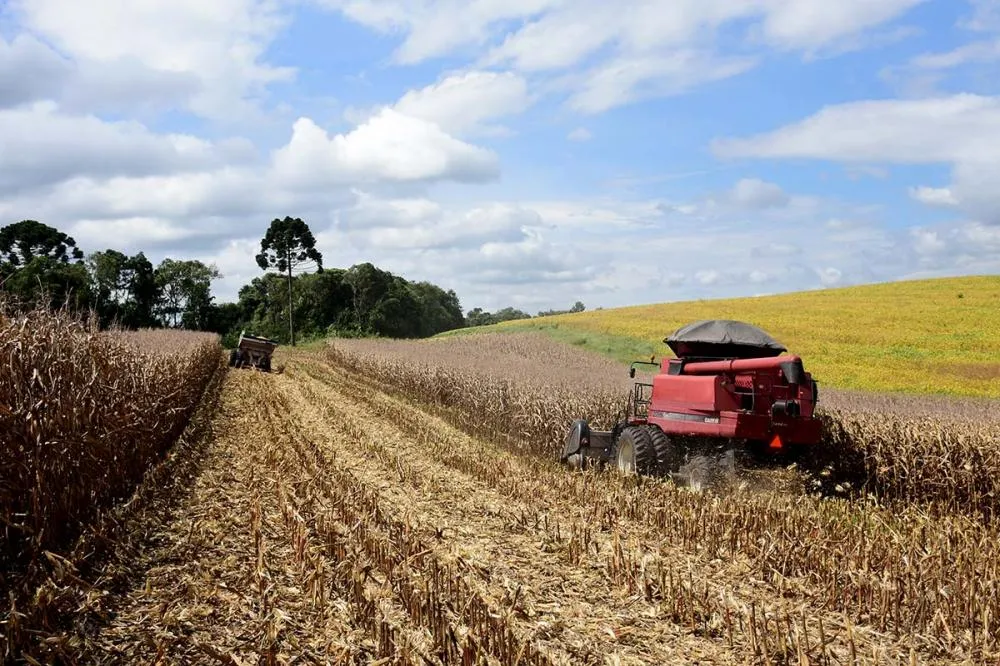 Com expectativa de safra recorde de soja, Agropecuária registrou crescimento de 12,2% em relação ao último trimestre de 2024. Foto Toninho Anhaia.