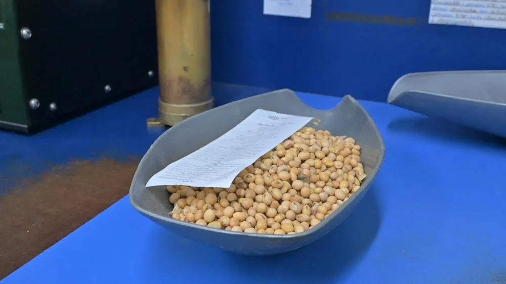 A soja é o motor do agronegócio brasileiro, e a Capal impulsiona essa potência com qualidade e sustentabilidade, do campo à comercialização! Foto Toninho Anhaia