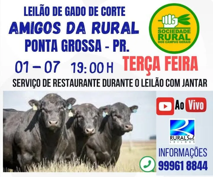 Leilão de Gado Amigos da Rural reúne criadores e compradores no Centro Agropecuário de Ponta Grossa