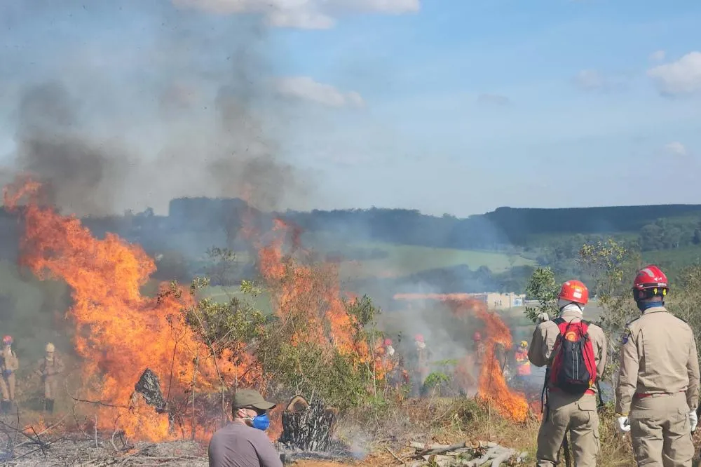 Estado reforça orientações para evitar incêndios florestais no período mais seco do ano Foto: IAT