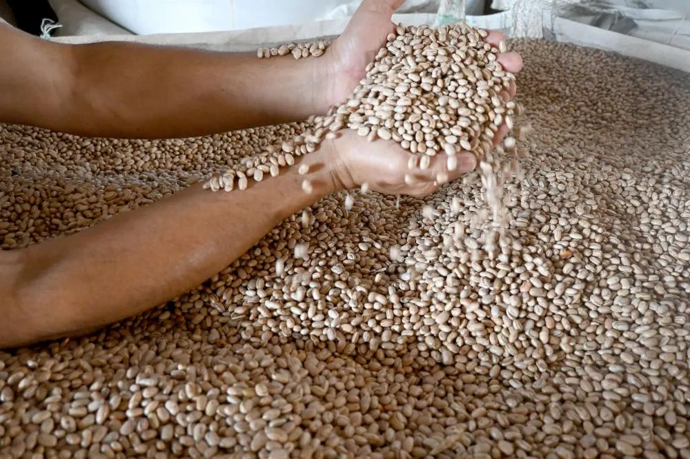 foto Toninho Anhaia.