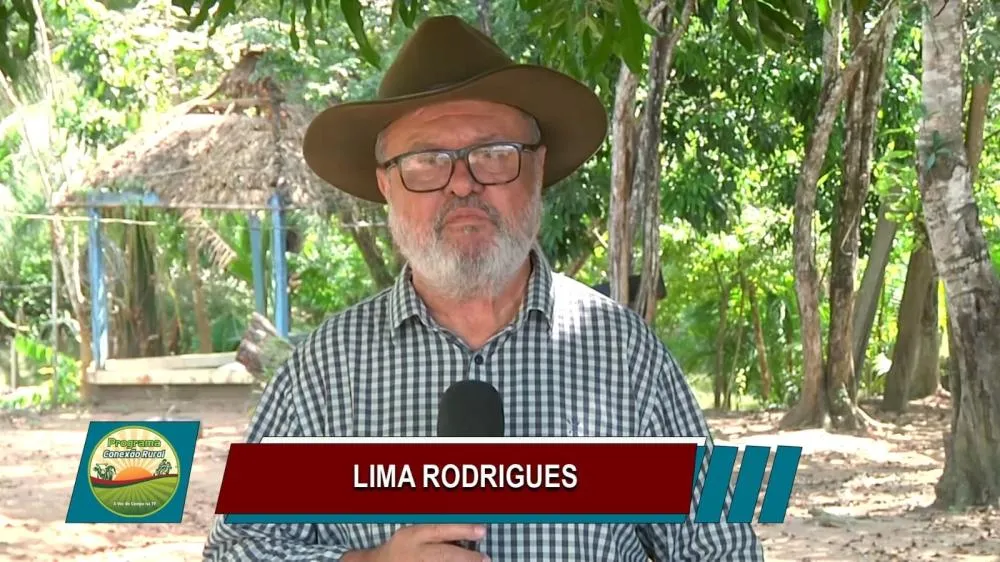 Jornalista Lima Rodrigues
