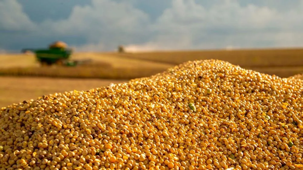 Produtores do Sul de Minas antecipam planejamento para a safra de soja 2025/26. FOTO divulgação