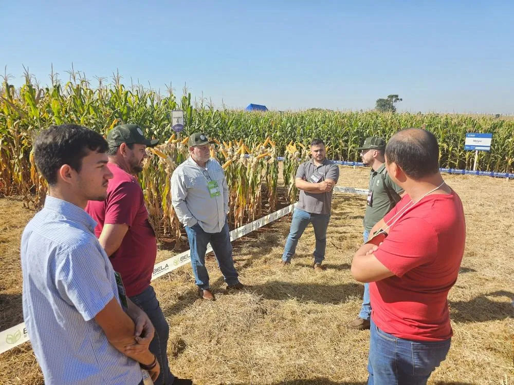 Sexta edição do Bela+ reunirá especialistas em clima, tecnologia digital e produtividade agrícola na UDT da empresa, em Cambé (PR)