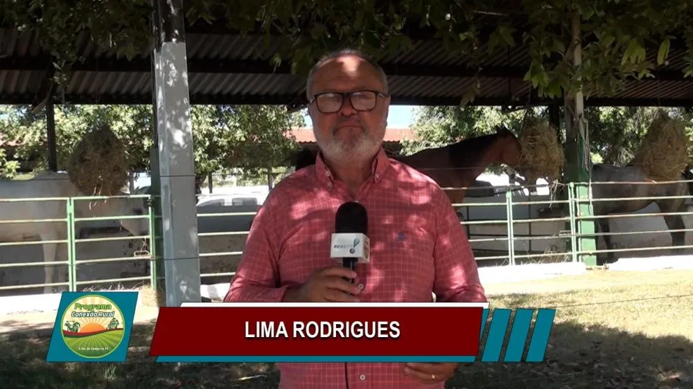Jornalista Lima Rodrigues