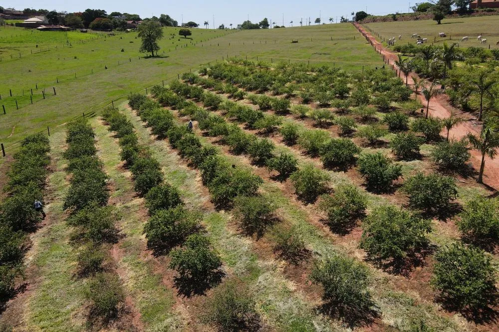 Fomento Paraná abre nova chamada pública para selecionar projetos de FIDCs do Agro Foto: Gilson Abreu/Arquivo AEN