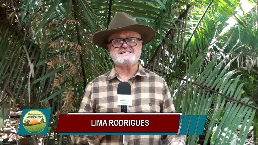 Jornalista Lima Rodrigues