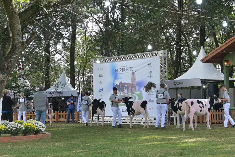 Produtores e especialistas se reúnem na 51ª Expoleite para debater o futuro do leite e do café. Fotos Toninho Anhaia
