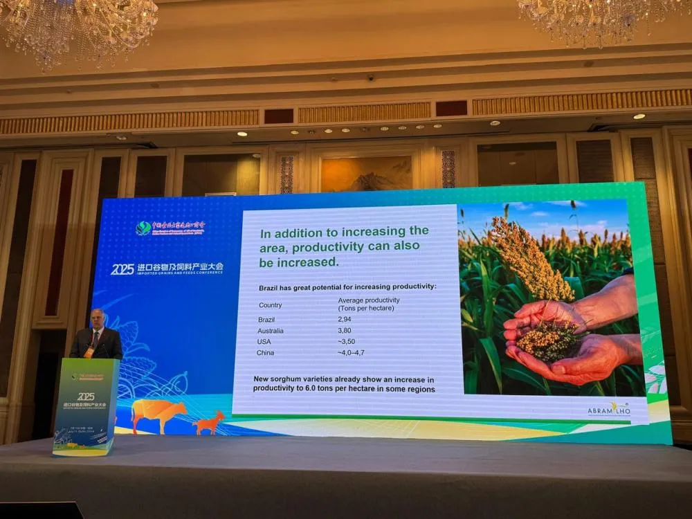 Paulo Bertolini, presidente da Abramilho, representa o Brasil em missão na China para expandir o mercado internacional do sorgo. Fotos divulgação