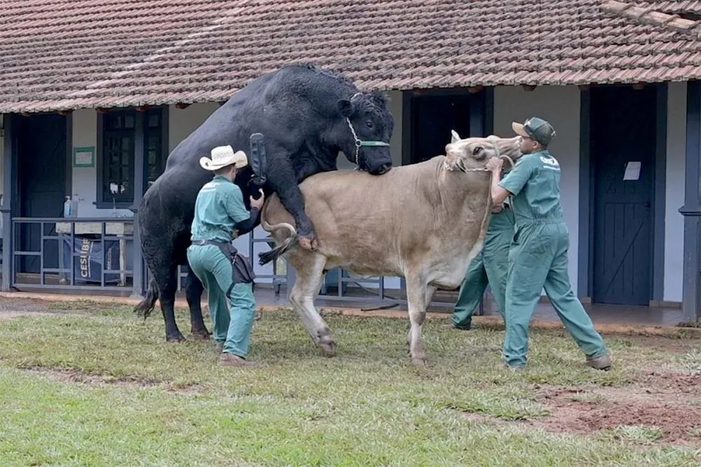 Foto Toninho Anhaia