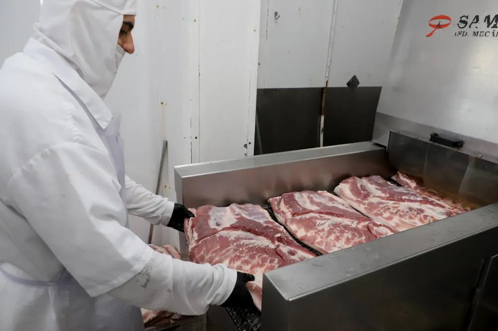 Chile reconhece status sanitário do Paraná e produtores poderão vender carne ao país Foto: Ari Dias/AEN