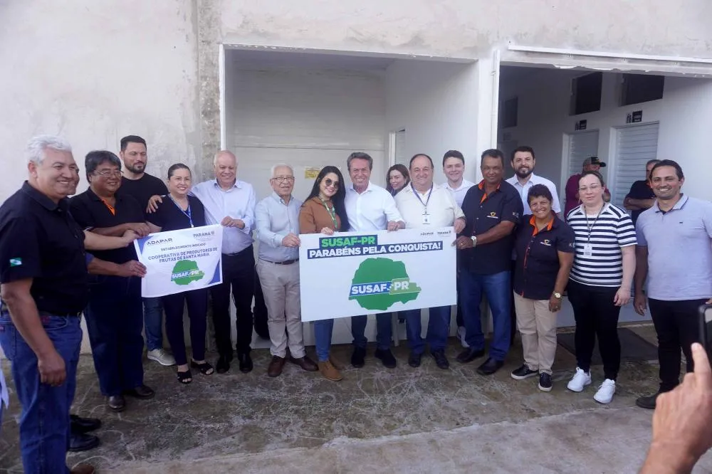 Com novo selo Susaf, cooperativa de Alto Paraná pode vender tilápia para todo Estado Foto: Pablo Aqsenen / Adapar