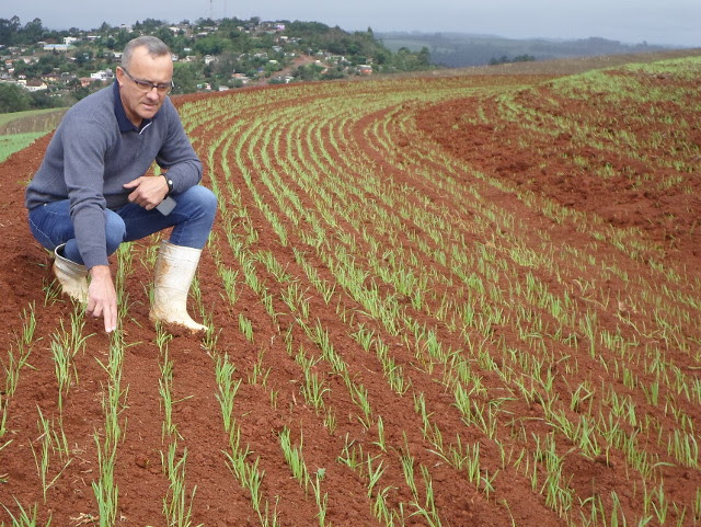 Ivanor Sfreddo é extensionista rural da Epagri em Caxambu do Sul