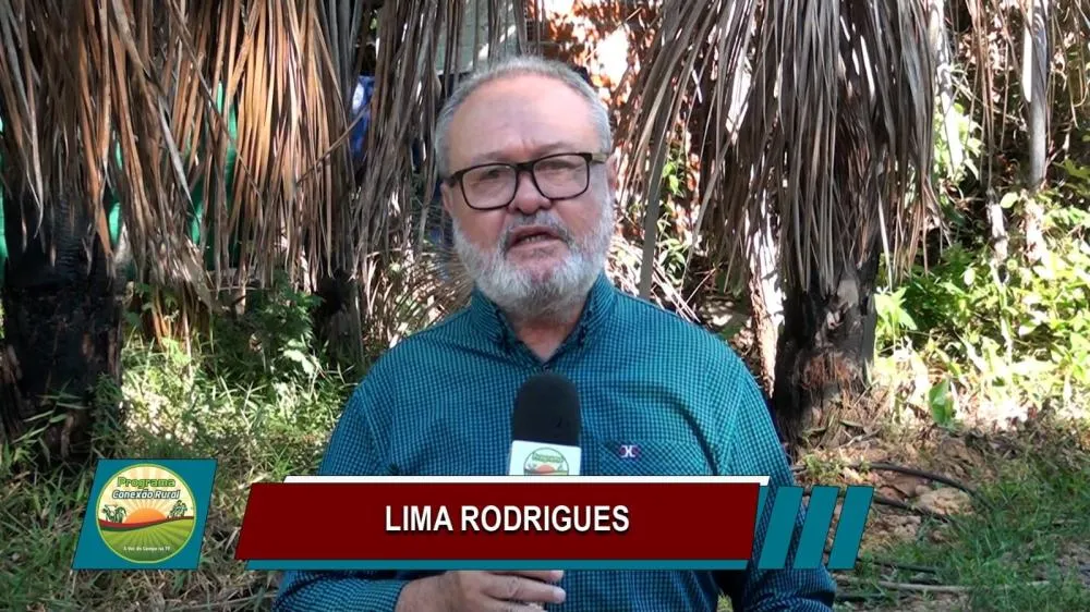 Jornalista Lima Rodrigues