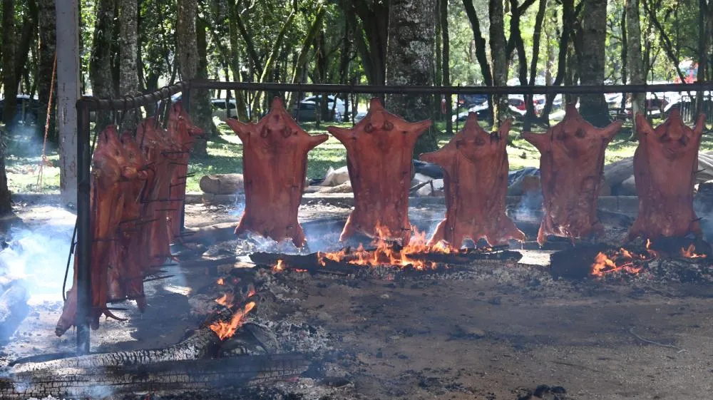 Embarques de carne suína mantêm alta de 12,9% em 2025