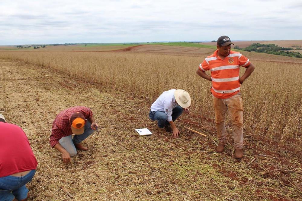 O Paraná cultiva em torno 5,4 milhões de hectares de soja. Se todos os operadores tivessem o mesmo desempenho dos participantes do concurso, seriam 3.888.000 sacas não desperdiçadas e uma economia para o estado em torno de R$ 388,8 milhões.