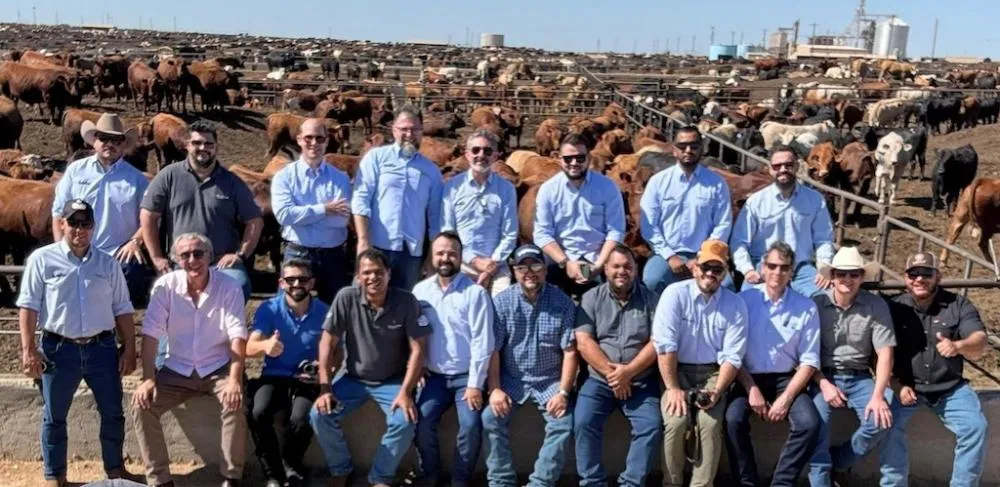 Trouw Nutrition fortalece especialização técnica para atender crescimento de gado confinado no Brasil