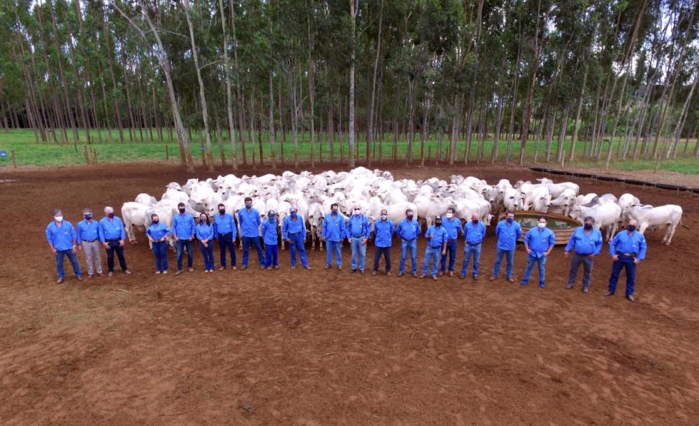Após 140 dias, suplementados com o proteico energético PSAI com Fator P, aditivo 100% natural da Premix - via Protocolo R30, na fase de seca, os bezerros da raça Nelore obtiveram aumento do peso médio corporal de 246 kg para 340 kg, evolução corporal de 3