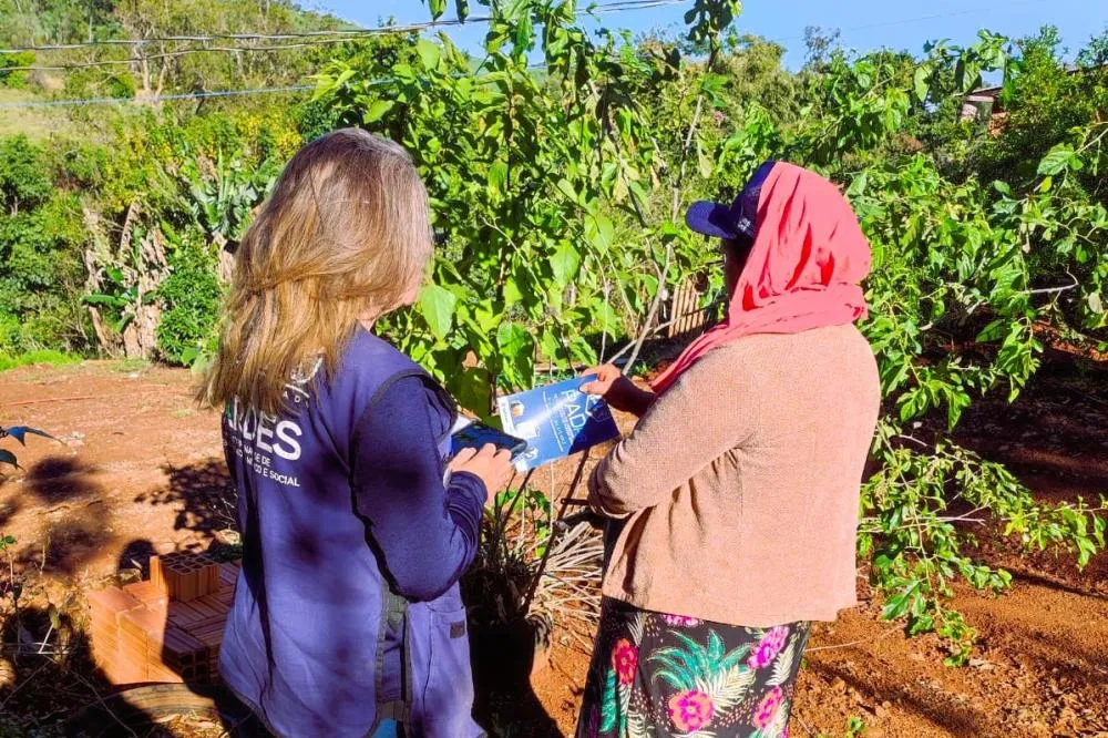 Com 73 mil entrevistas, Ipardes conclui pesquisa de campo do perfil socioeconômico do Paraná Foto: IPARDES