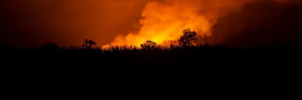 Setembro exige atenção redobrada contra incêndios no campo. Foto Faep