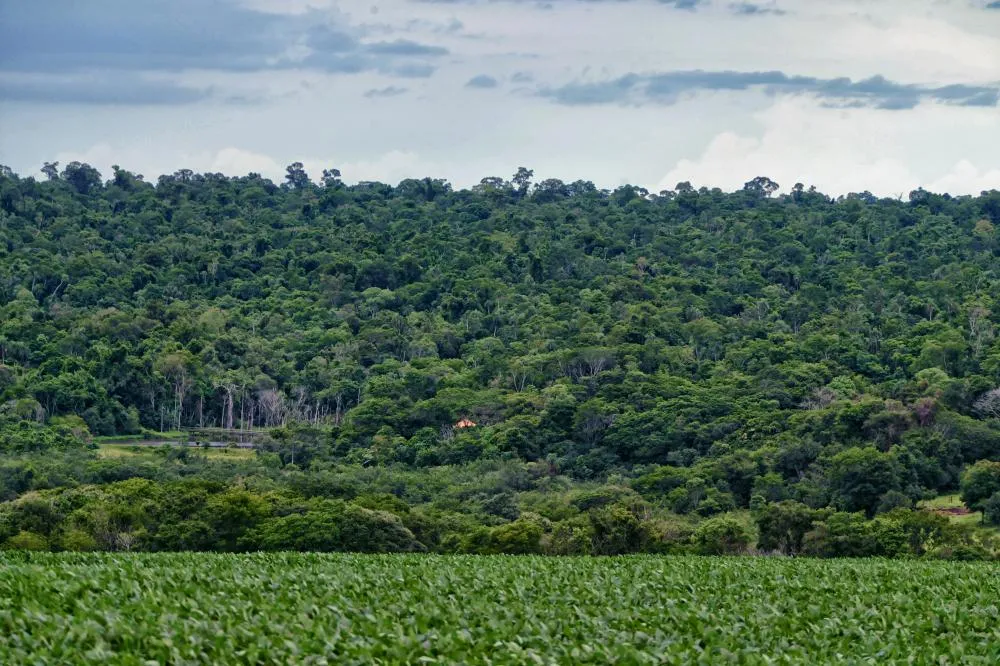 Proteção ao meio ambiente: Paraná tem o segundo melhor índice de sustentabilidade do País de acordo com o Ranking de Competitividade dos Estados Foto: Denis Ferreira Netto/SEDEST-PR