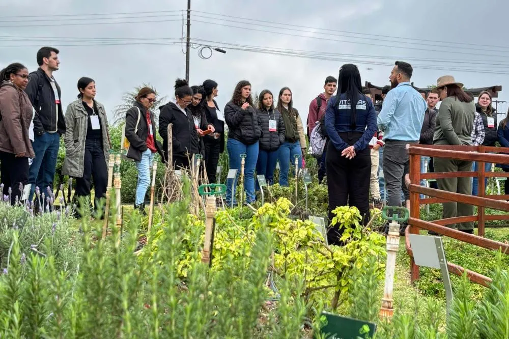 Cascavel tem evento de agroecologia com foco no inverno Foto: IDR-PR