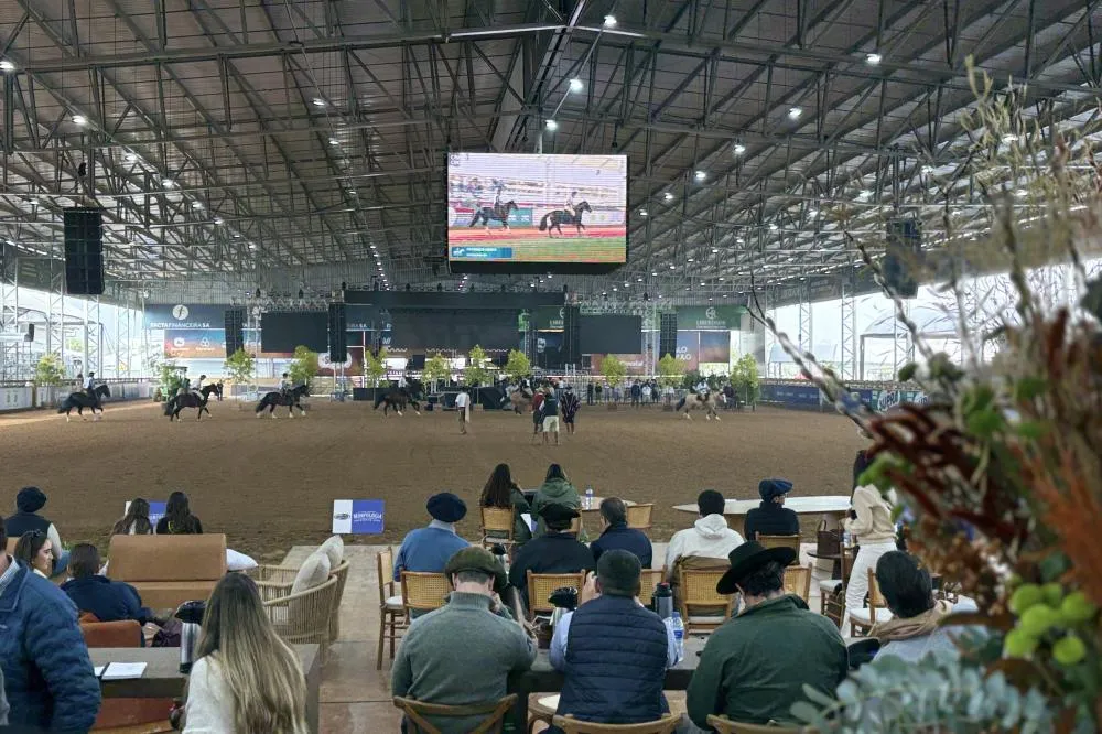 Admissão dos animais dá a largada para a final da Morfologia na 48ª Expointer Foto Daymon Grocheviski