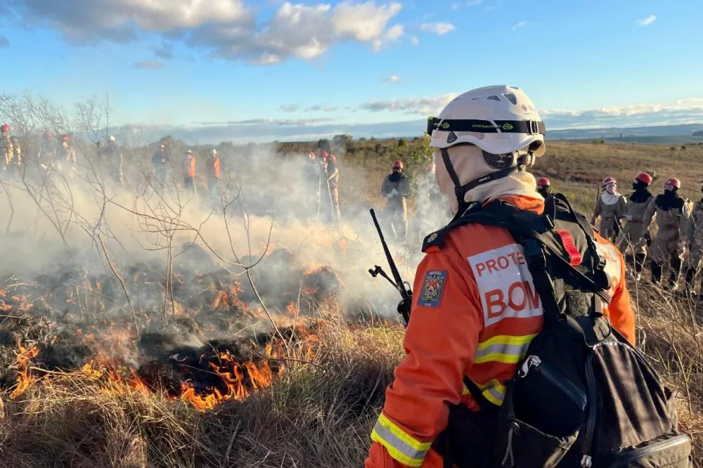 CBMPR intensifica treinamentos de Manejo Integrado do Fogo contra incêndios florestais Foto: CBMPR