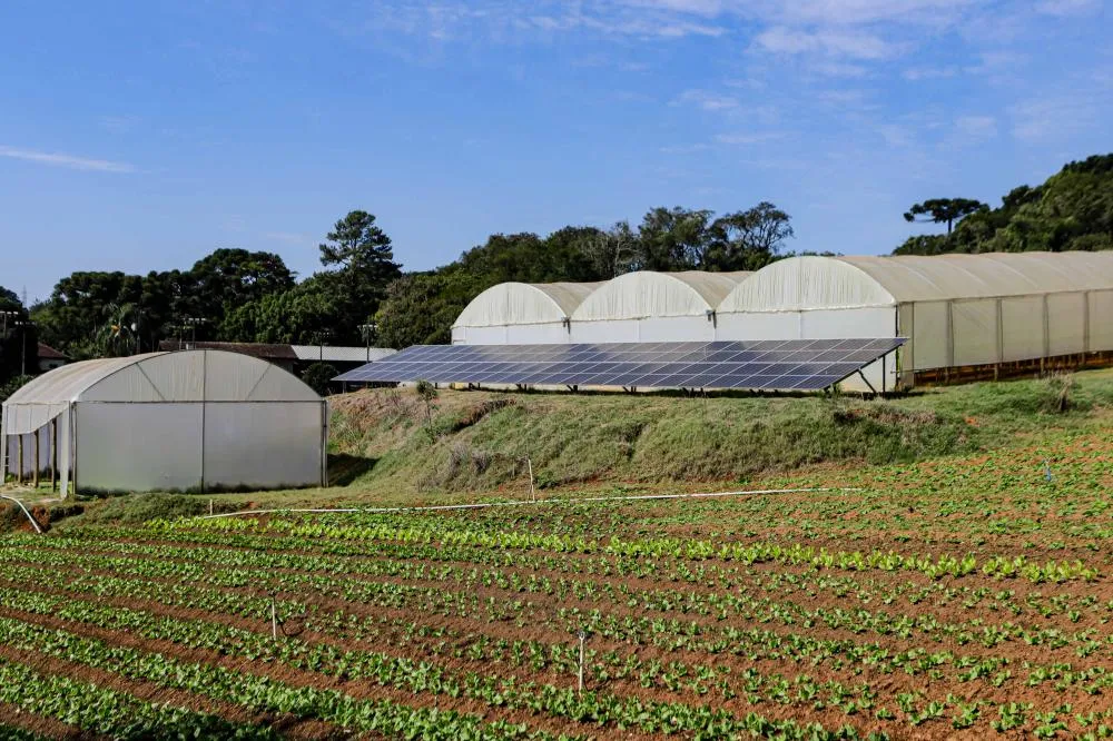 Paraná alcança marca de 1 gigawatt de energia em geração distribuída no meio rural Foto: Roberto Dziura Jr/AEN